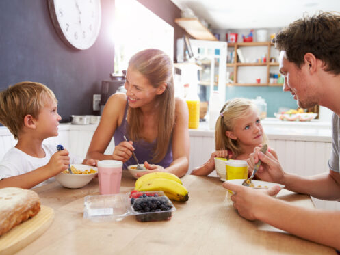 Indoor air quality services in Mineral, VA